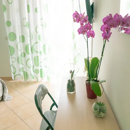 Alle Falde Dell'etna